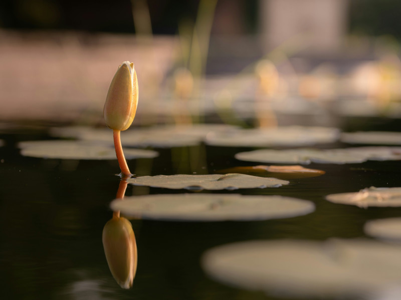 Huvudmannam&ouml;te 2026